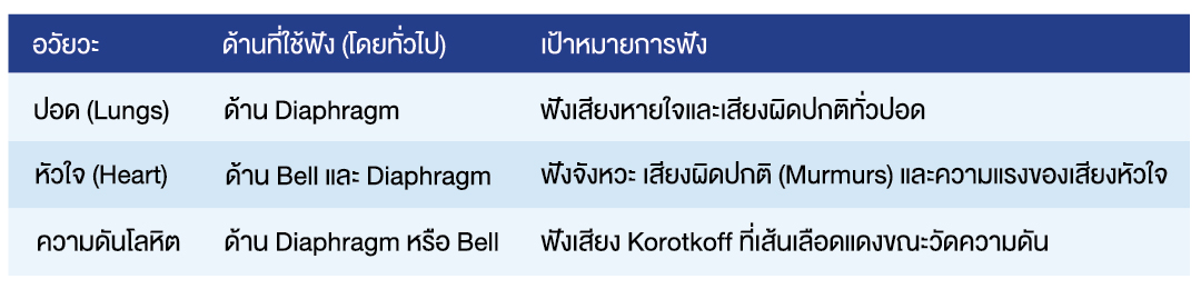 หูฟังแพทย์